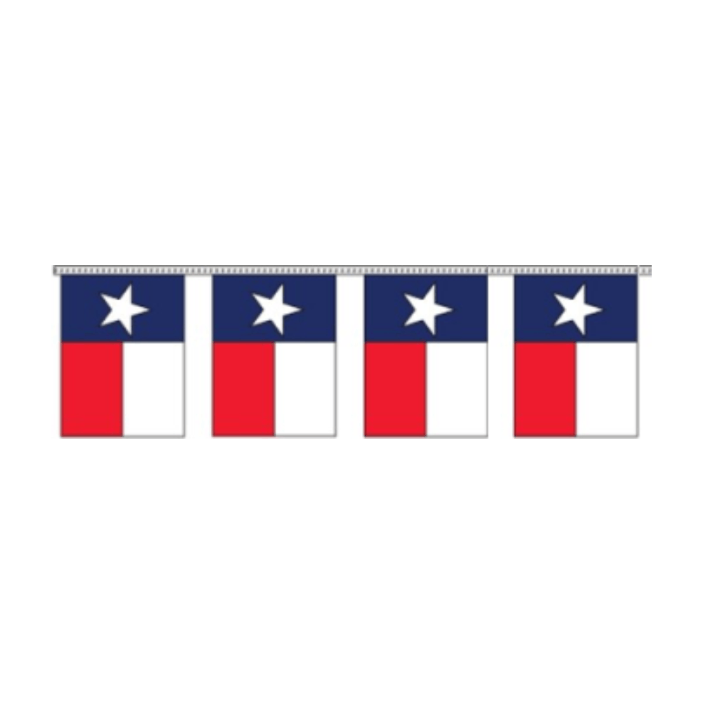 Texas Flag Pennants